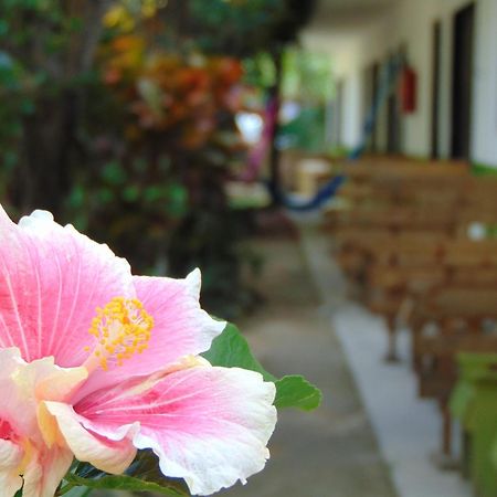 Bed and Breakfast Crucero Tulum Zewnętrze zdjęcie