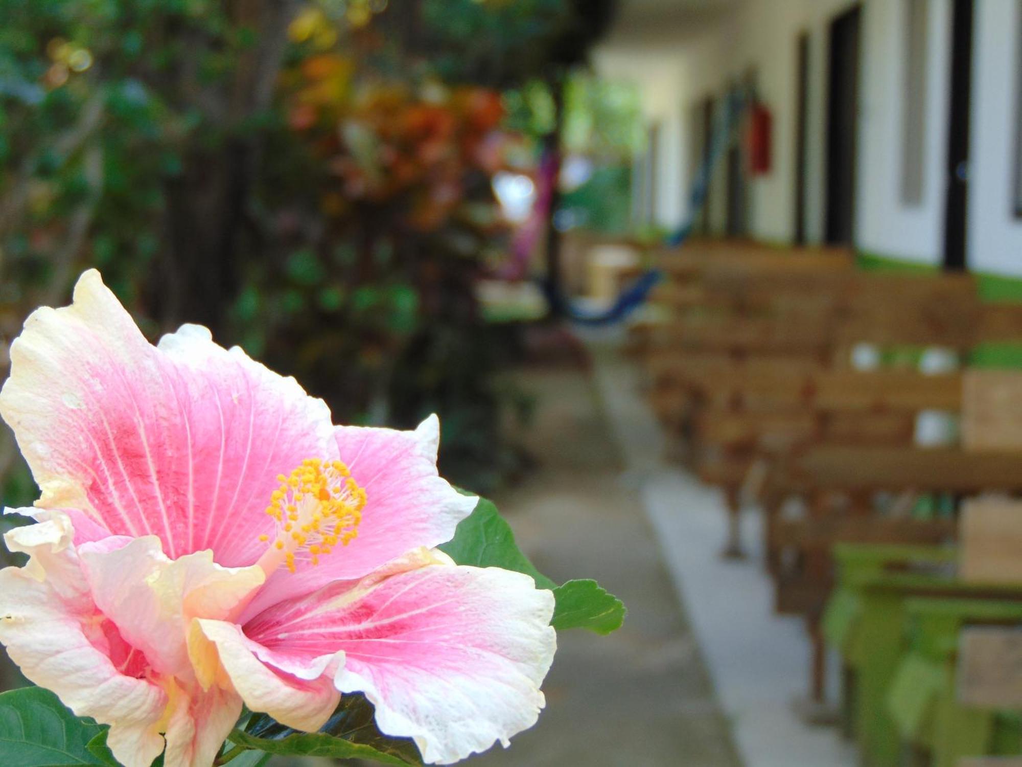 Bed and Breakfast Crucero Tulum Zewnętrze zdjęcie